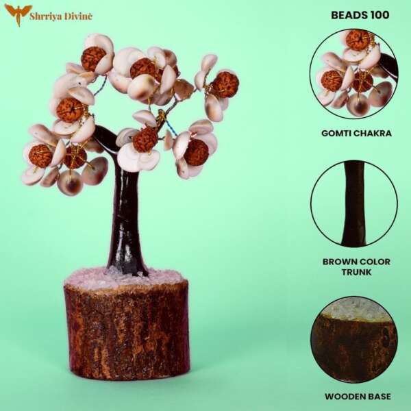 Gomati Chakra Tree - Image 2