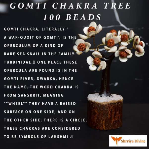 Gomati Chakra Tree - Image 5